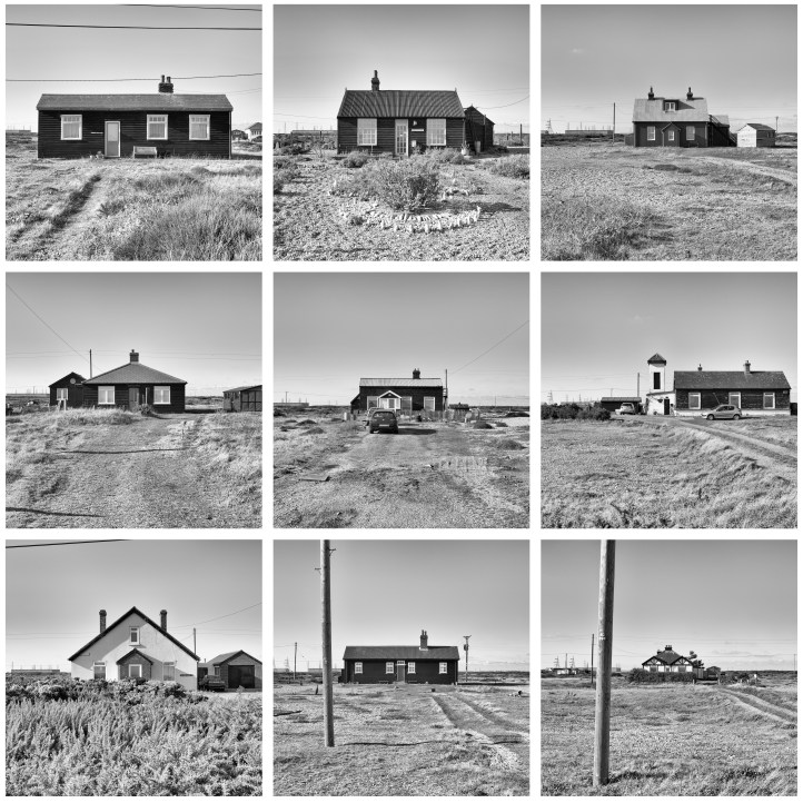 Dungeness