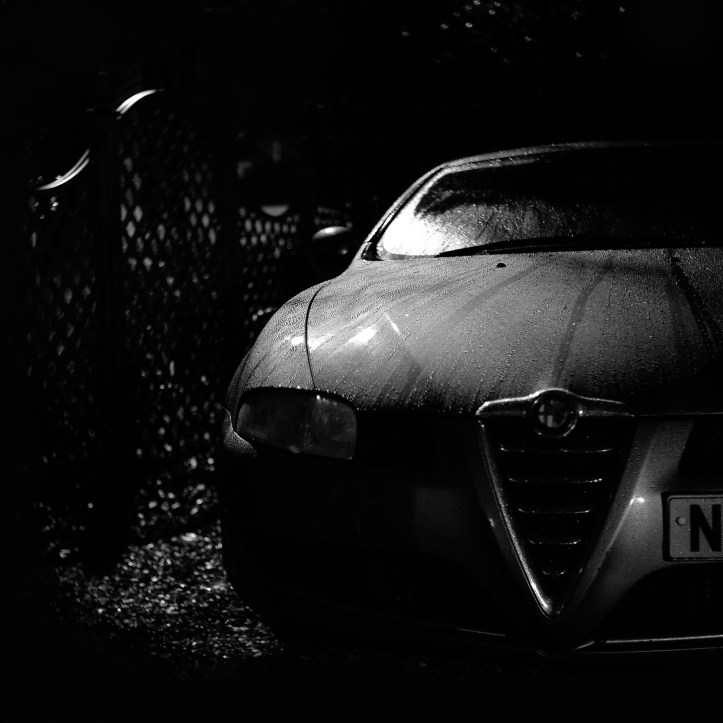 night-alfa