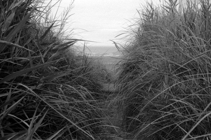 EOS5 FP4029