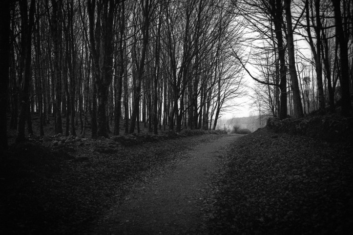 Leica M6 Rollei Retro 139