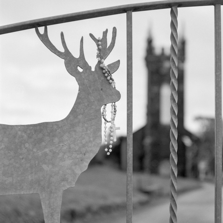 Mamiya C330 FP4 0231