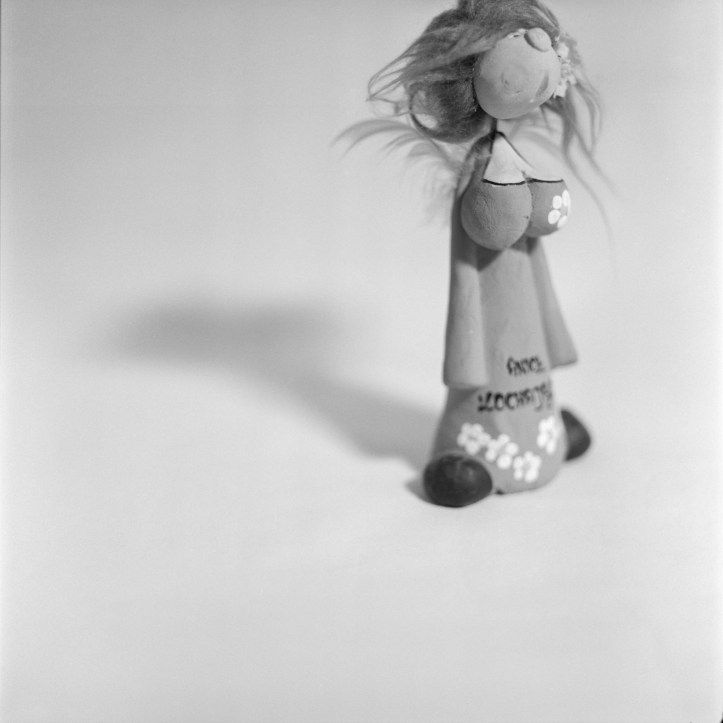 Mamiya C330 FP4 0239