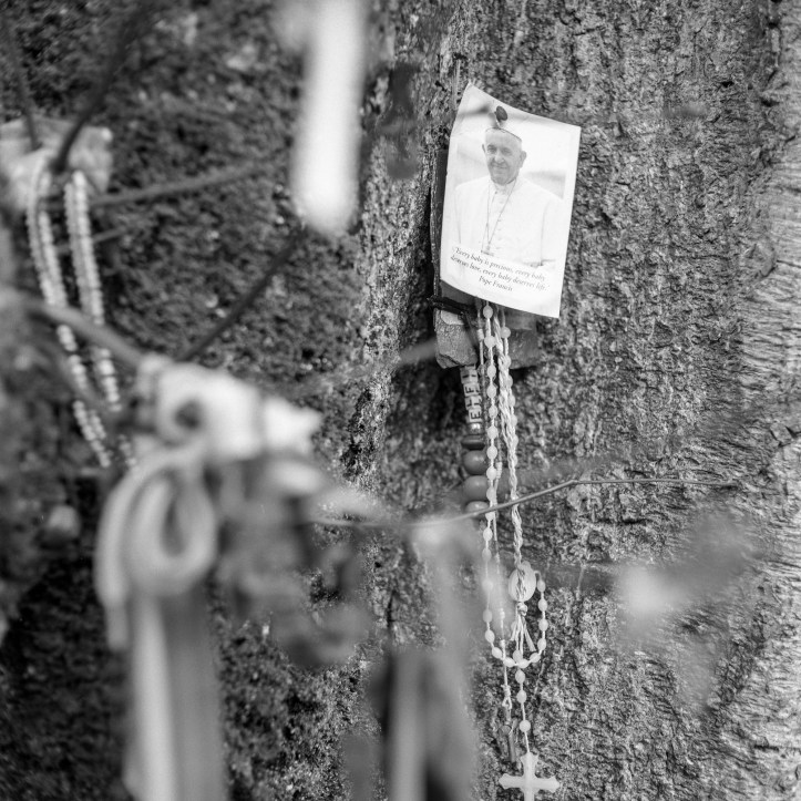 Mamiya C330 FP4 0244